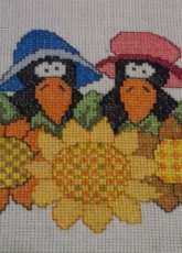 Crows