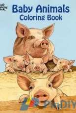 Dover Coloring Books - Baby Animals Coloring Book by Ruth Soffer (Adult) 2004