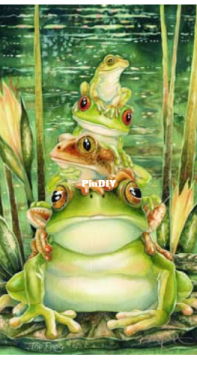 Haed - HAEJBMINI 4100 Mini Top Frog by Jody Bergsma