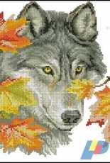 RTO M111 - Autumn Wolf