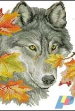 RTO M111 - Autumn Wolf
