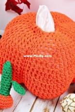 Nicks Handmade Crafts - Nicole Riley - Secret Pumpkin Tissue Box Cover - Free