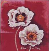 Lanarte 34853 White Poppies