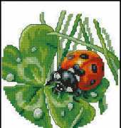 Royal Paris 9880.6420.0040 Ladybird XSD
