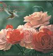 Kathie Designs - Morning Rose and Hummingbird