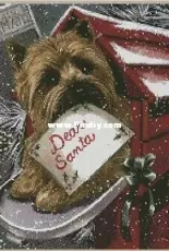 Chiara Roi - Dear Santa XSD