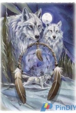 HAED HAEJB 225 Nothing Can Hold Back A Dream by Jody Bergsma