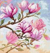 Blooming Magnolias