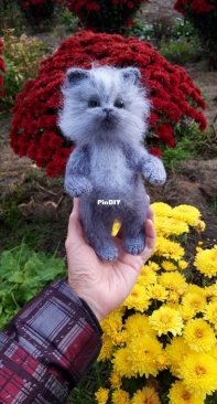 Fluffy gray cat