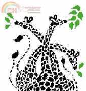 Giraffes