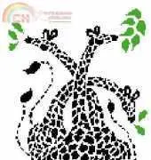 Giraffes