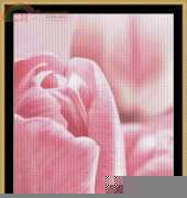 Mystic Stitch FLO23 Pink Tulips xsd