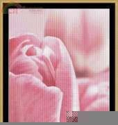Mystic Stitch FLO23 Pink Tulips xsd