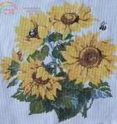 sunflowers