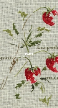 Marie-Therese Saint -Aubin 『 PENSEES ET VIOLETTES 』 - 旅