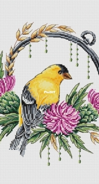 Yellow Goldfinch by Anna Kuznetsova