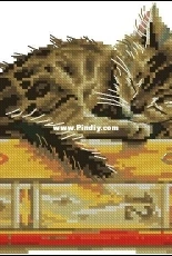 RTO M642 - Cats Dream XSD