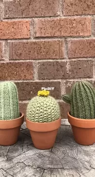 A Prickle of Cactus by Emily Russell