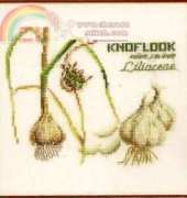 Thea Gouverneur 3043 Knoflook