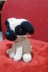 My dog