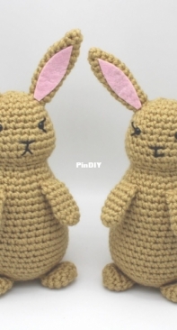 Bugburrypond - Laura Jaworski - The Most Wonderful Thing Bunny - Free