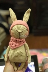 little owlet rabbit