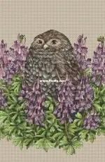 Owl in Crested  by Ekaterina Chaykovskaya
