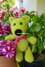 My Madison bear