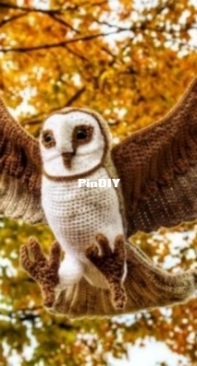 Crafty intentions- Barn Owl