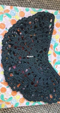 semi circular crochet case
