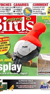 Cage and Aviary Birds - June 17, 2026