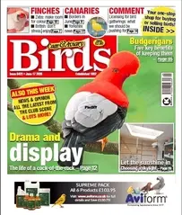 Cage and Aviary Birds - June 17, 2026