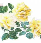Thea Gouverneur 429