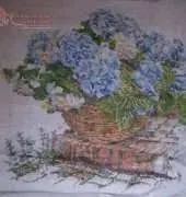 Thea Gouverneur 2046 - Blue hydrangea