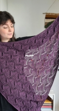 Telesto Shawl by Audrey Borrego - English, French - Free