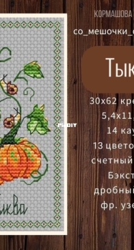 Pumpkin by Tatiana Kormashova