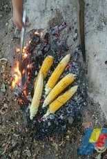Roasted corn
