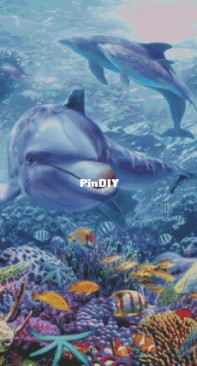 HAED HAEJPK 20200320 Underwater Dolphin And Turtle - Jan Patrik Krasny