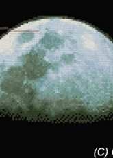 Golden Kite 349 - Half the Moon