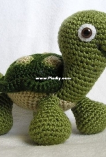 Bvoe - Barbara Voelker - Baby Turtle