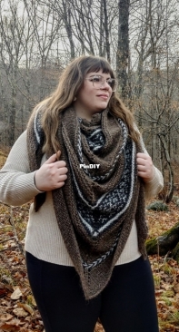 Winter Woods Shawl by Lindsey Faciane - Free