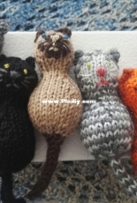 Year Of The Cat by Annalisa Dione-English,Italian-Free