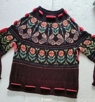 Dragonfly sweater