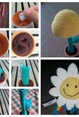 How to grow aflower