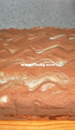 Zebra feather pie