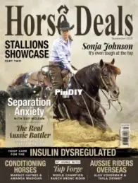 Horse Deals – September 2025