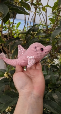 Dolphin