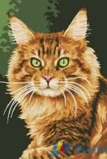 Luc Creations - Le Maine Coon