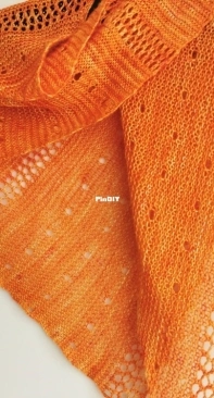 ieri  Shawl by Mara Licole-Free