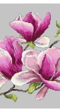 Coricamo - GC10271 - Fragrant magnolia XSD